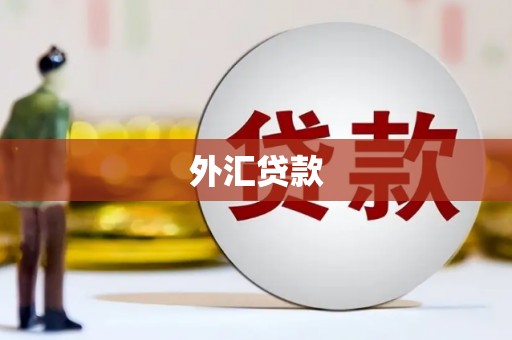 丰滨外汇贷款