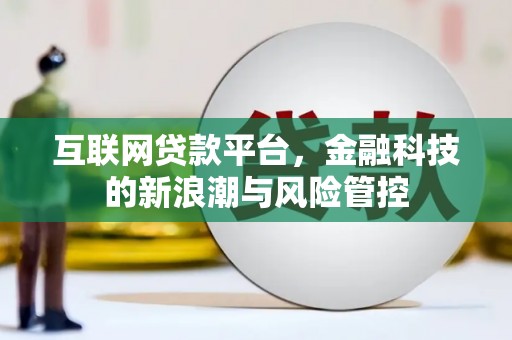 丰滨互联网贷款平台，金融科技的新浪潮与风险管控