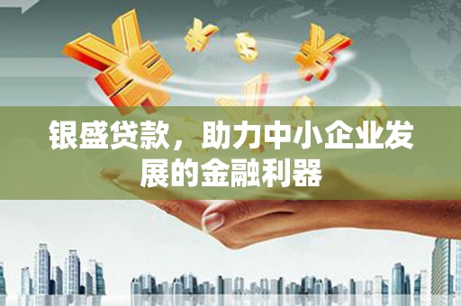 丰滨银盛贷款，助力中小企业发展的金融利器