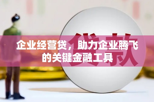 丰滨企业经营贷，助力企业腾飞的关键金融工具