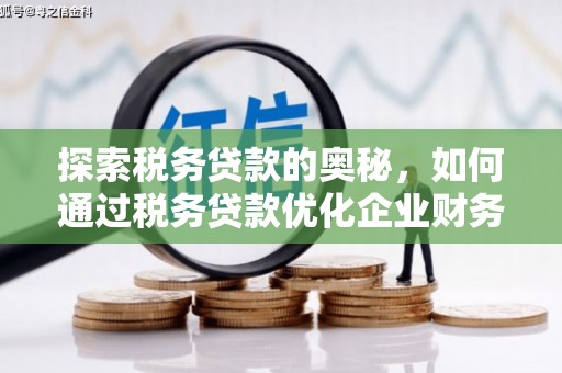 丰滨探索税务贷款的奥秘，如何通过税务贷款优化企业财务