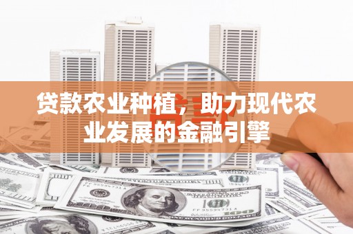 丰滨贷款农业种植，助力现代农业发展的金融引擎