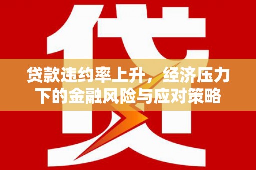 丰滨贷款违约率上升，经济压力下的金融风险与应对策略