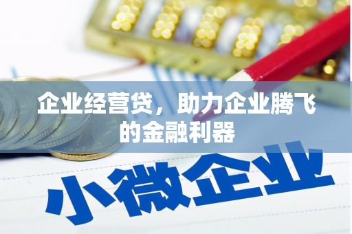 丰滨企业经营贷，助力企业腾飞的金融利器