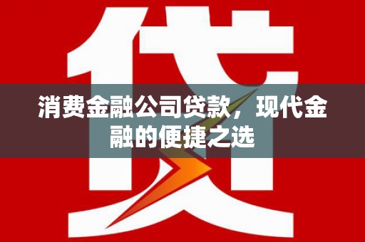 丰滨消费金融公司贷款，现代金融的便捷之选