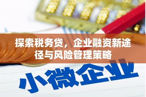 丰滨探索税务贷，企业融资新途径与风险管理策略