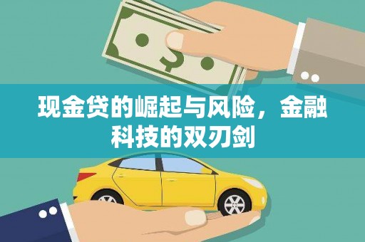 丰滨现金贷的崛起与风险，金融科技的双刃剑
