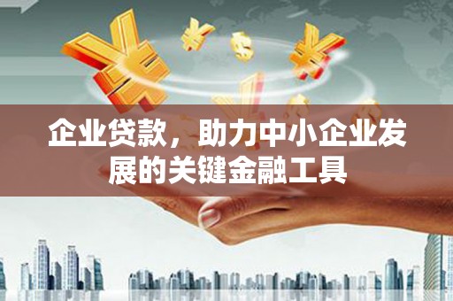 丰滨企业贷款，助力中小企业发展的关键金融工具