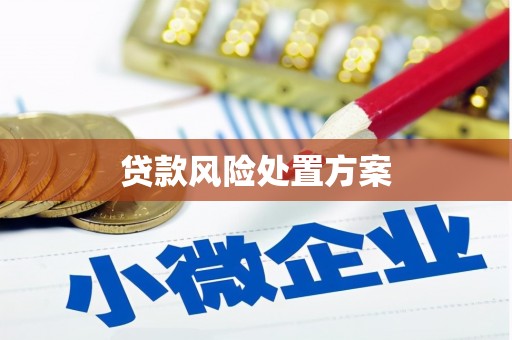 丰滨贷款风险处置方案