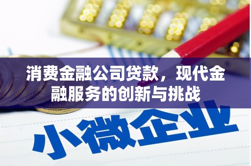 丰滨消费金融公司贷款，现代金融服务的创新与挑战