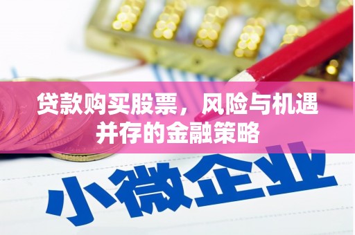 丰滨贷款购买股票，风险与机遇并存的金融策略