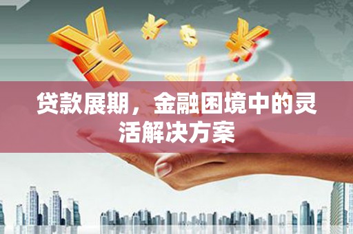 丰滨贷款展期，金融困境中的灵活解决方案