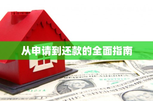 丰滨从申请到还款的全面指南
