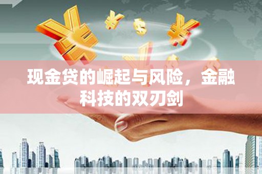 丰滨现金贷的崛起与风险，金融科技的双刃剑