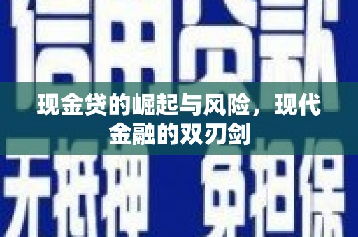 丰滨现金贷的崛起与风险，现代金融的双刃剑