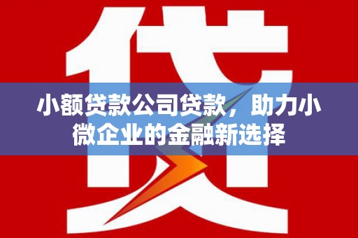 丰滨小额贷款公司贷款，助力小微企业的金融新选择