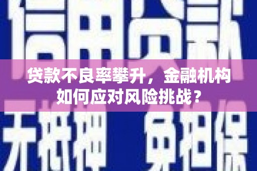 丰滨贷款不良率攀升，金融机构如何应对风险挑战？