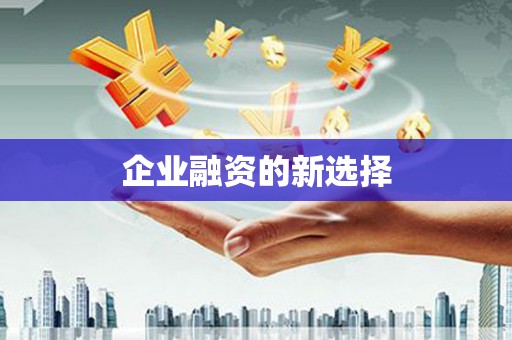丰滨企业融资的新选择