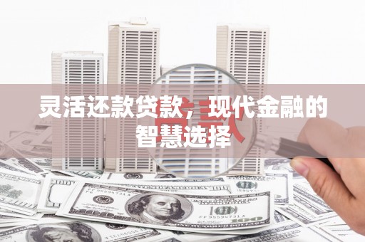 丰滨灵活还款贷款，现代金融的智慧选择