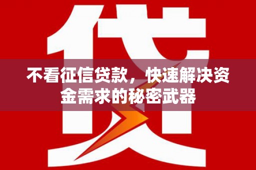 丰滨不看征信贷款，快速解决资金需求的秘密武器