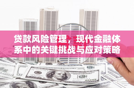 丰滨贷款风险管理，现代金融体系中的关键挑战与应对策略