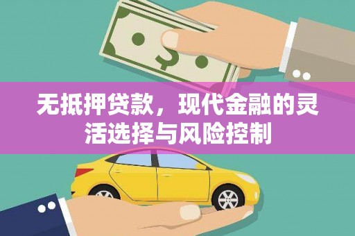 丰滨无抵押贷款，现代金融的灵活选择与风险控制