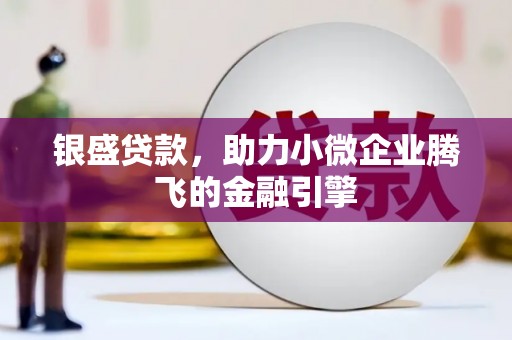 丰滨银盛贷款，助力小微企业腾飞的金融引擎