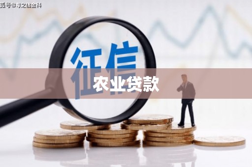 丰滨农业贷款