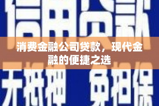 丰滨消费金融公司贷款，现代金融的便捷之选