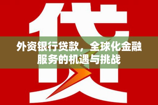 丰滨外资银行贷款，全球化金融服务的机遇与挑战