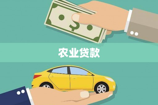 丰滨农业贷款