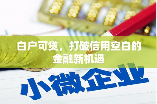 丰滨白户可贷，打破信用空白的金融新机遇