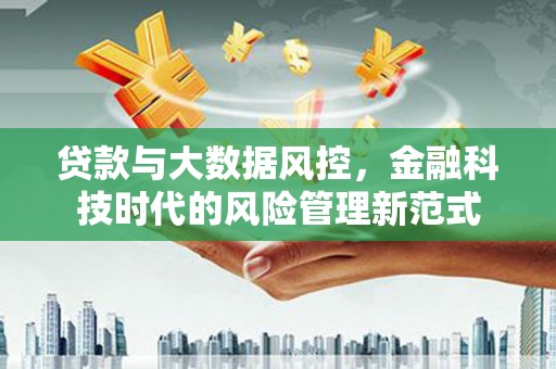 丰滨贷款与大数据风控，金融科技时代的风险管理新范式