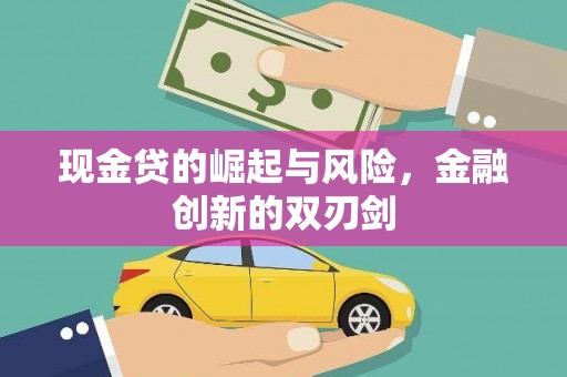 丰滨现金贷的崛起与风险，金融创新的双刃剑