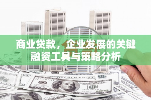 丰滨商业贷款，企业发展的关键融资工具与策略分析