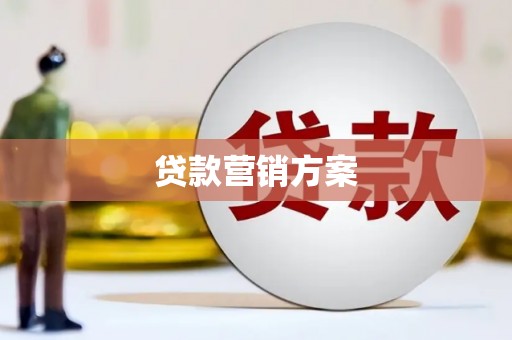 丰滨贷款营销方案