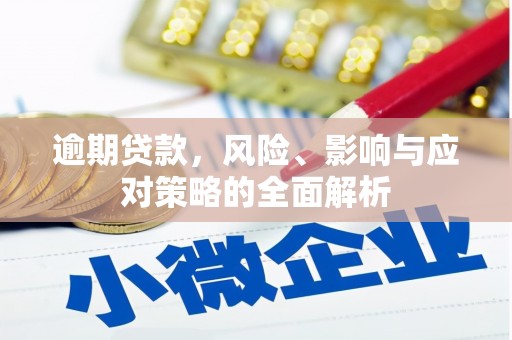 丰滨逾期贷款，风险、影响与应对策略的全面解析