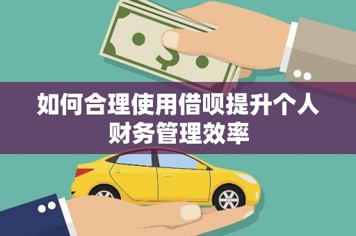 丰滨如何合理使用借呗提升个人财务管理效率
