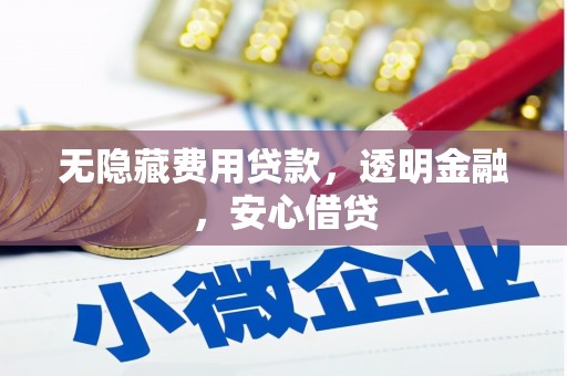 丰滨无隐藏费用贷款，透明金融，安心借贷