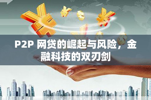 丰滨P2P 网贷的崛起与风险，金融科技的双刃剑
