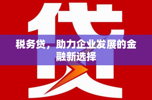 丰滨税务贷，助力企业发展的金融新选择