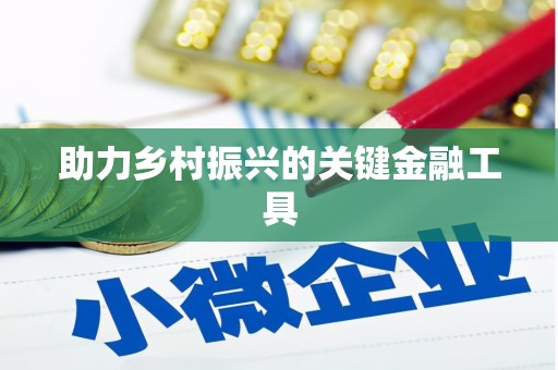 丰滨助力乡村振兴的关键金融工具