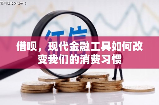 丰滨借呗，现代金融工具如何改变我们的消费习惯