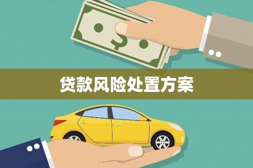 丰滨贷款风险处置方案