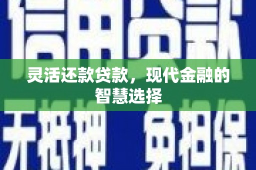 丰滨灵活还款贷款，现代金融的智慧选择