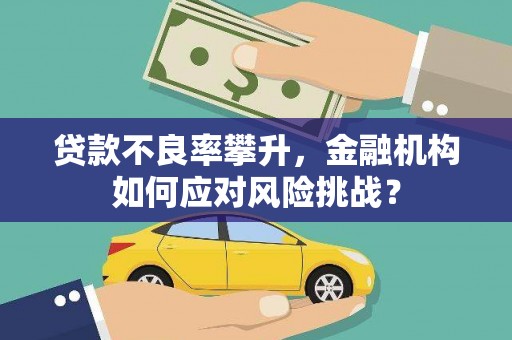 丰滨贷款不良率攀升，金融机构如何应对风险挑战？