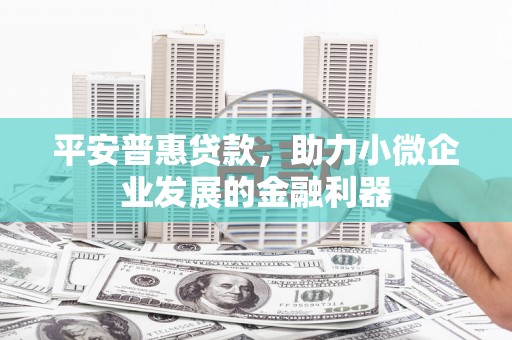 丰滨平安普惠贷款，助力小微企业发展的金融利器