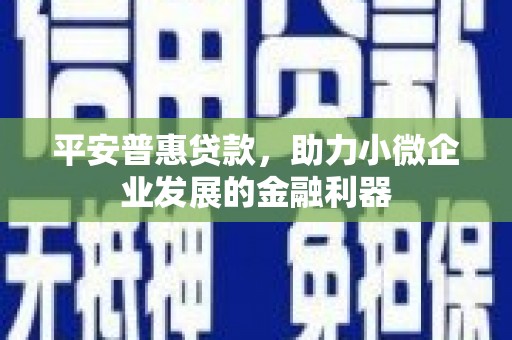 丰滨平安普惠贷款，助力小微企业发展的金融利器