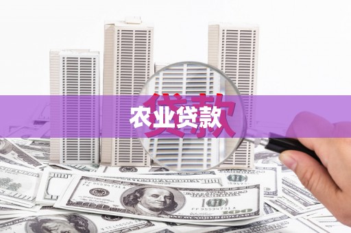 丰滨农业贷款
