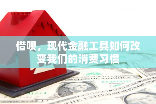 丰滨借呗，现代金融工具如何改变我们的消费习惯